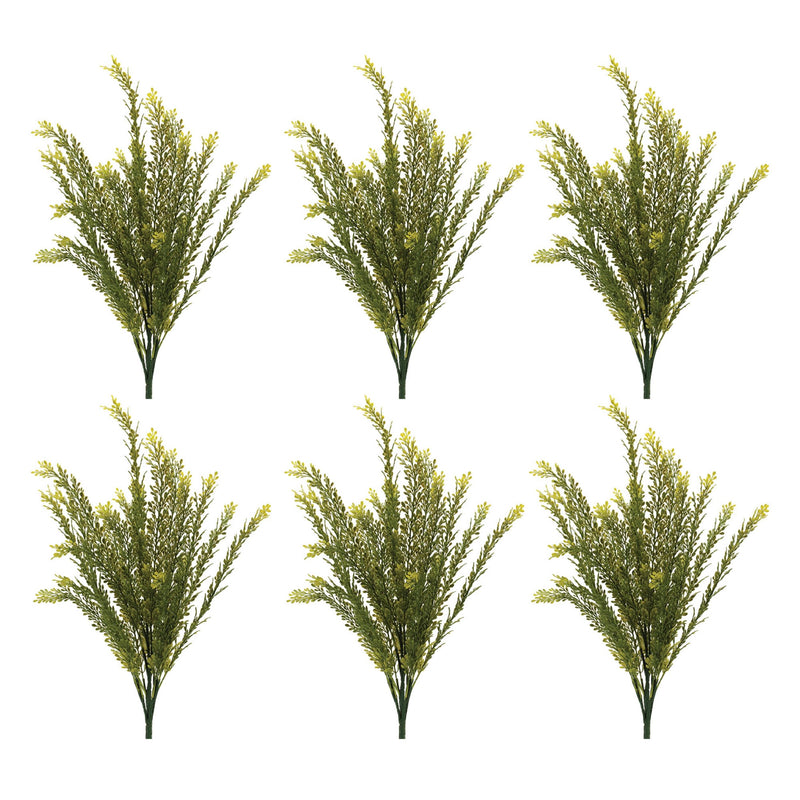 Melrose Baby Tears Foliage Bush (Set of 6)