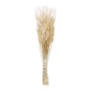 Melrose Bunny Tail Bundle (Set of 2)