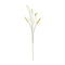 Melrose Foxtail Spray (Set of 6)