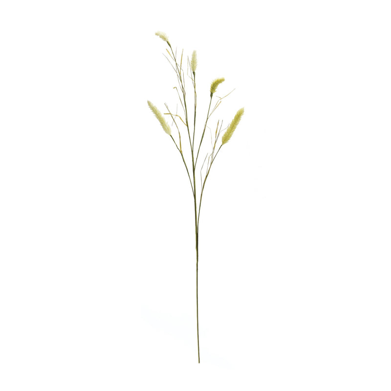 Melrose Foxtail Spray (Set of 6)