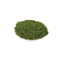 Melrose Faux Moss Pad (Set of 3)