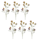 Melrose Thistle Foliage Spray (Set of 6)