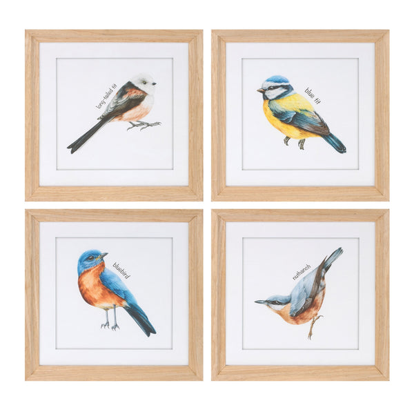 Melrose Framed Bird Print Under Glass Wall Decor, Wood