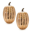 Melrose LED Mercury Glass Pumpkin Decor (Set of 2) Orange Farmhouse Glass LED Fa