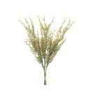 Melrose Mini Seed Pod Bundle (Set of 2)