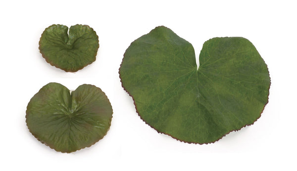 Melrose Assorted Bag of Leaves Filler (Set of 12)