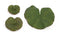 Melrose Assorted Bag of Leaves Filler (Set of 12)