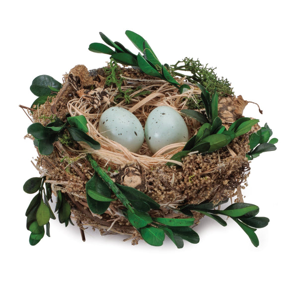 Melrose Twig Bird Nest with Eggs and Boxwood Foliage (Set of 12)