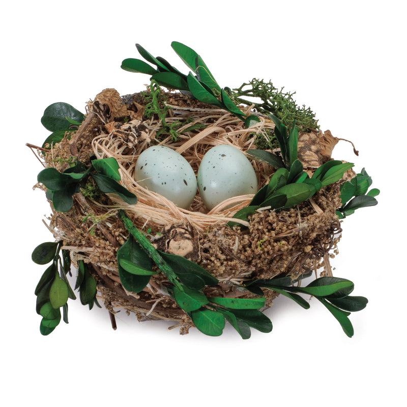 Melrose Twig Bird Nest with Eggs and Boxwood Foliage (Set of 12)
