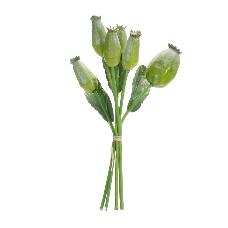 Melrose Green Poppy Pod Foliage Bundle (Set of 6)