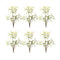 Melrose Mini Fern Foliage Bush with Sprout Accent (Set of 6)