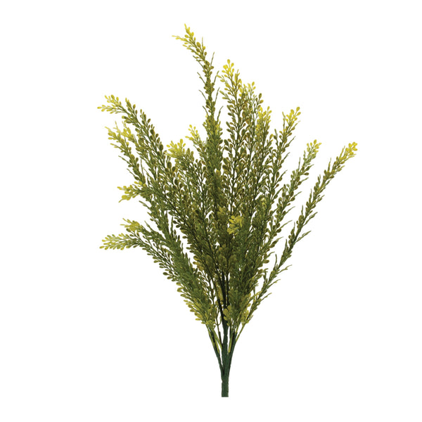 Melrose Baby Tears Foliage Bush (Set of 6)