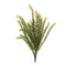 Melrose Baby Tears Foliage Bush (Set of 6)