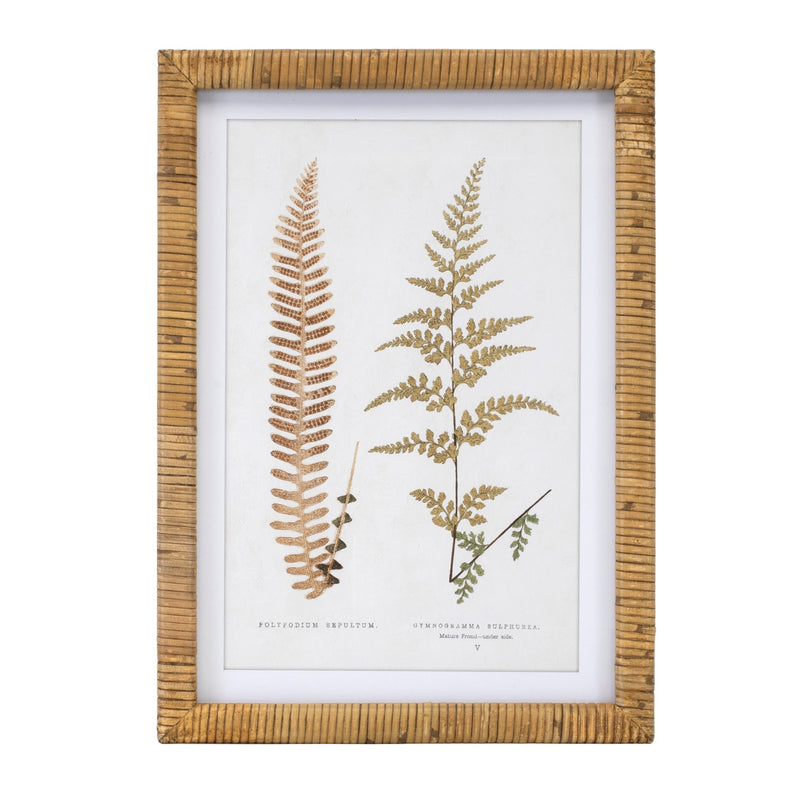 Melrose Wood Framed Fern Print Wall Decor, Rustic, Wood