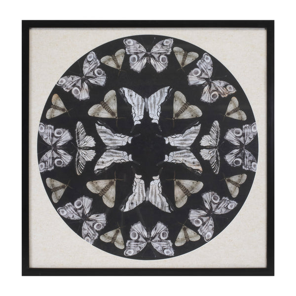 Melrose Framed Butterfly Print 25"SQ Wall Decor, Modern, Plastic