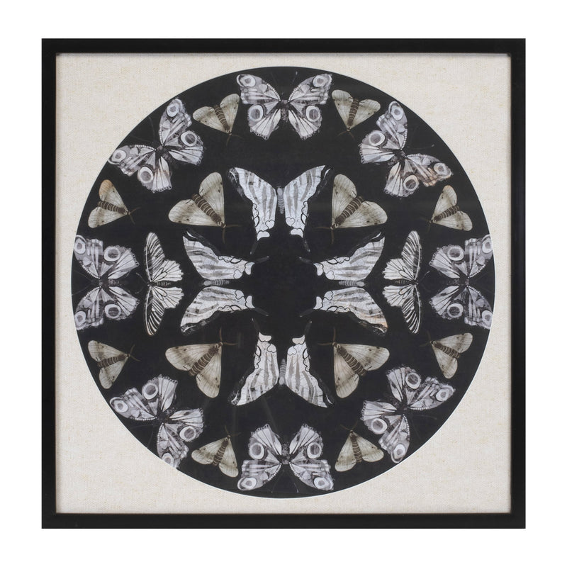 Melrose Framed Butterfly Print 25"SQ Wall Decor, Modern, Plastic