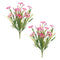 Melrose Mixed Daisy Bush (Set of 2)