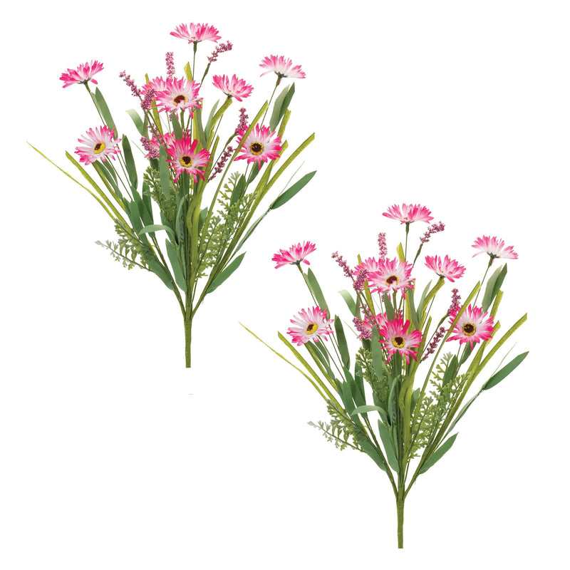 Melrose Mixed Daisy Bush (Set of 2)