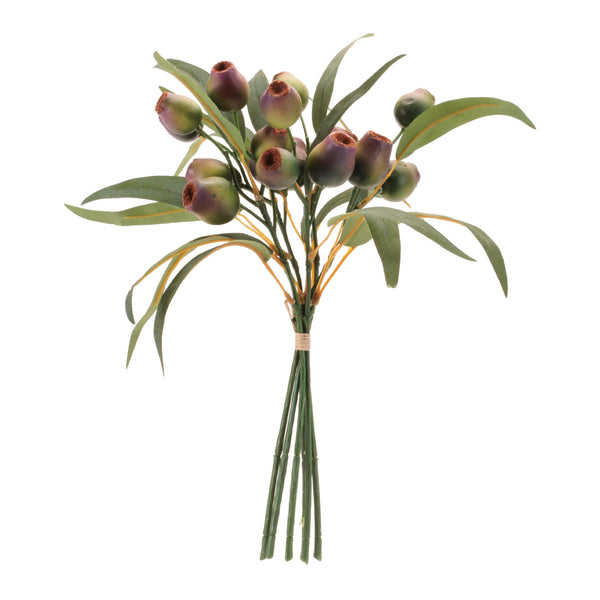 Melrose Pod Foliage Bundle (Set of 6)