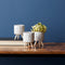 Melrose Porcelain Face Planter with Wooden Legs Set of 3 Planter, Face