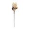 Melrose Beige Protea Flower Stem (Set of 2)