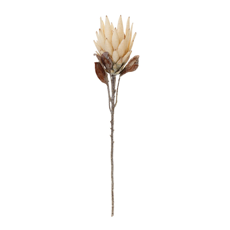 Melrose Beige Protea Flower Stem (Set of 2)
