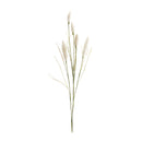 Melrose Foxtail Spray (Set of 6)