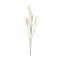 Melrose Foxtail Spray (Set of 6)