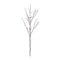 Melrose Birch Twig Branch (Set of 6)