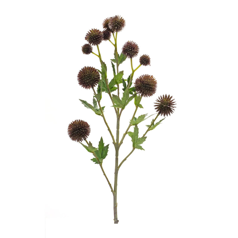 Melrose Brown Allium Floral Spray (Set of 6)