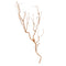 Melrose Glittered Bronze Twig Branch (Set of 6)