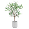 Melrose Potted Olive Leaf Topiary 17.5"H