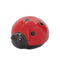 Melrose Lady Bug (Set of 24)