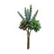 Melrose Succulent Bundle (Set of 6)