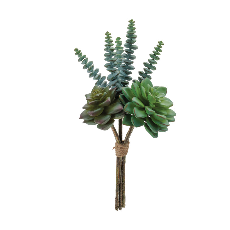 Melrose Succulent Bundle (Set of 6)