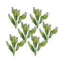 Melrose Green Poppy Pod Foliage Bundle (Set of 6)