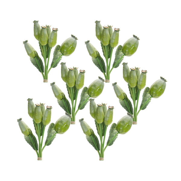 Melrose Green Poppy Pod Foliage Bundle (Set of 6)