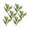 Melrose Green Poppy Pod Foliage Bundle (Set of 6)