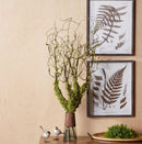 Melrose Moss Foliage Vine Branch (Set of 2)