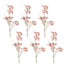 Melrose Berry Pod Spray (Set of 6)