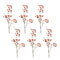 Melrose Berry Pod Spray (Set of 6)