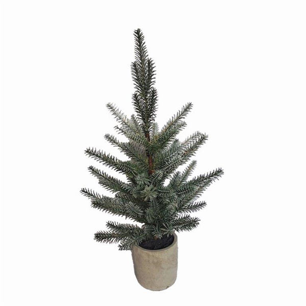 Melrose Pine Tree in Plastic Pot (Set of 2)