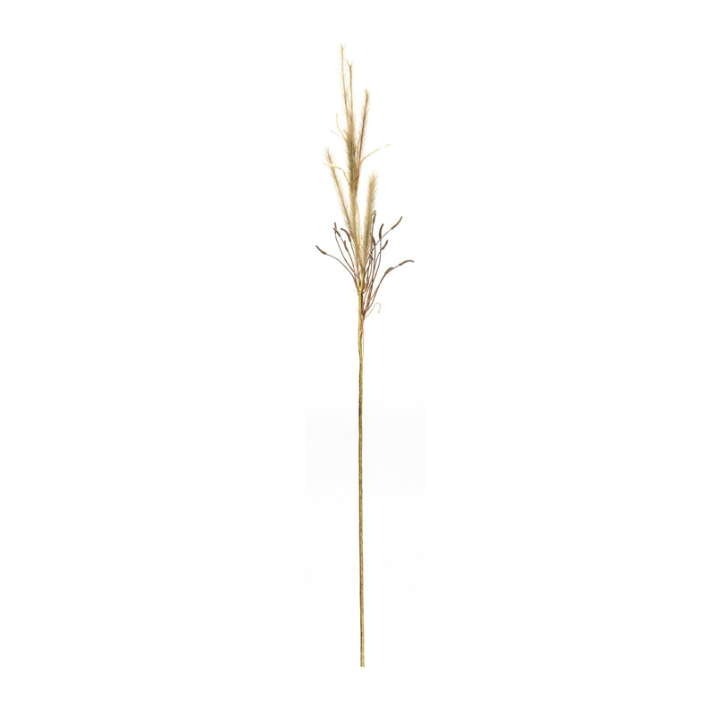 Melrose Foxtail Grass Spray (Set of 2)