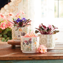 Melrose Stone Floral Patterned Planter Set of 3 Planter, Dolomite