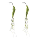 Melrose Moss Foliage Vine Branch (Set of 2)