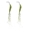 Melrose Moss Foliage Vine Branch (Set of 2)