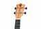 Twisted Wood EM-600C Ember Concert Ukulele Solid Mahogany w/ Gig Bag