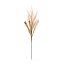 Melrose Foxtail Plume Stem (Set of 2)