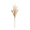 Melrose Foxtail Plume Stem (Set of 2)