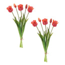 Melrose Tulip Floral Bundle (Set of 2)